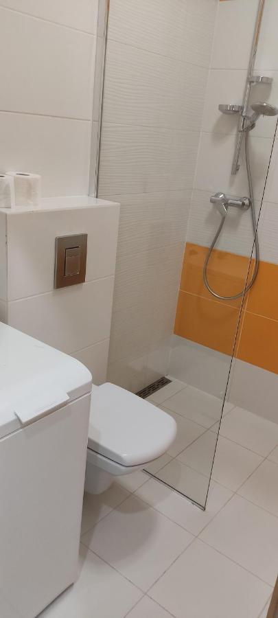 Be My Guest- Fontany Luxury Apartment Metro Wi-Fi Free Parking Zone ワルシャワ エクステリア 写真
