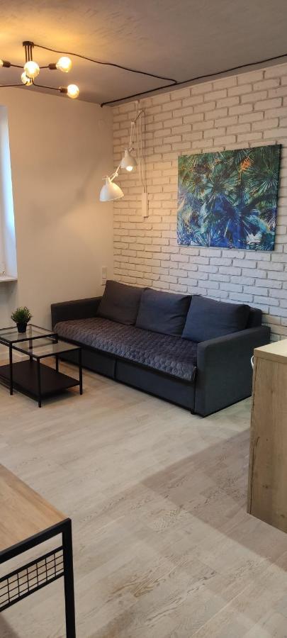 Be My Guest- Fontany Luxury Apartment Metro Wi-Fi Free Parking Zone ワルシャワ エクステリア 写真