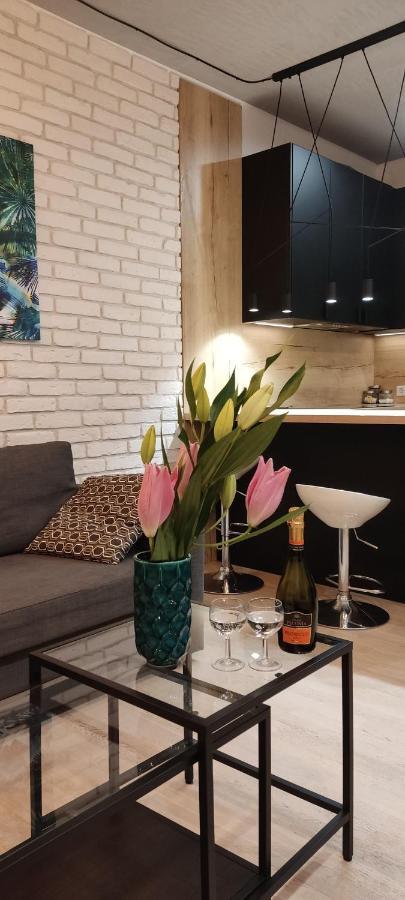 Be My Guest- Fontany Luxury Apartment Metro Wi-Fi Free Parking Zone ワルシャワ エクステリア 写真